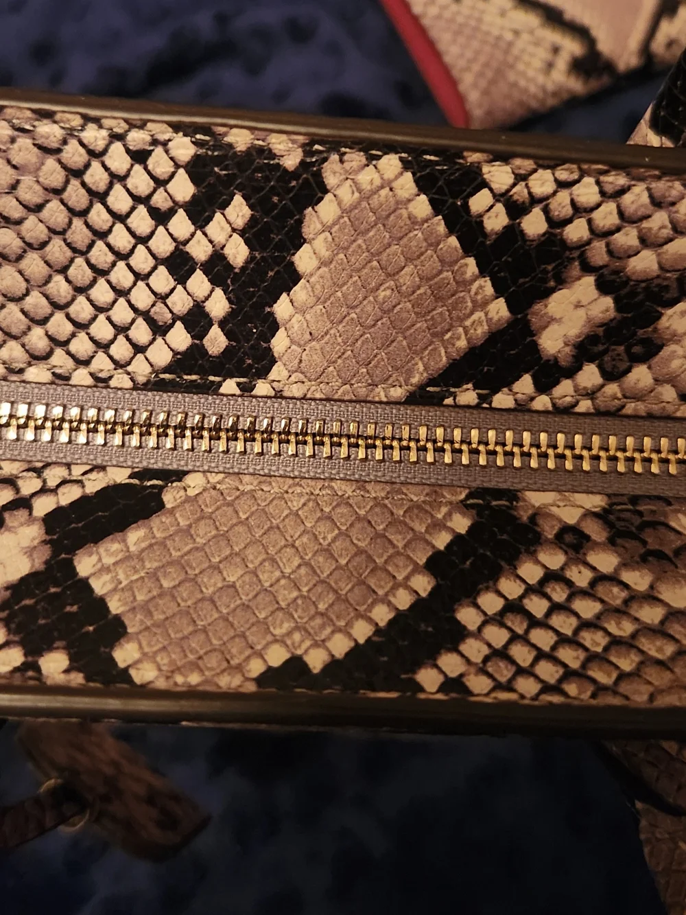 kate spade Snake-Print Beige and Black Satchel with Wallet And Crossbody Strap